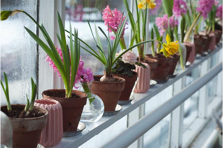 Elevate Your Outdoor Space with Deck Container Gardens